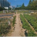 남구-004 이미지