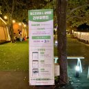 청도프로방스 불빛축제 카라반 펜션 | 청도 프로방스 글램핑 | 빛축제 무료입장까지! 대구 근교 감성캠핑 내돈내산 추천