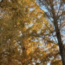 기역니은펜션 | [담양 여행 총정리] 담양 여행 코스, 담양 가볼만한 곳, 담양 데이트 코스 추천