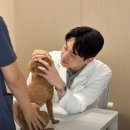 압구정동물의료센터 이미지