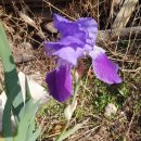 신일외과의원 이미지