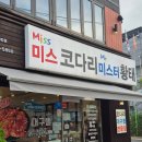 미스코다리 이미지