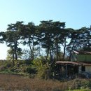 방앗간의추억 이미지