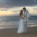 Hawaiian Wedding Song / Andy Williams 이미지