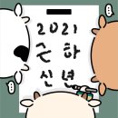 늘봄태권도 이미지