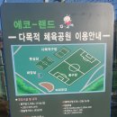 에코랜드수영장 풋살구장 이미지