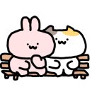 솔램 이미지
