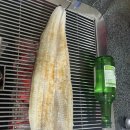 도림장어 이미지