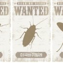 팅커벨 - 종로구 종로 266 | 팅커벨