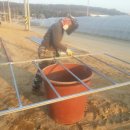 양대농장 이미지