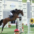 대명축산 이미지