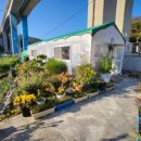 문의태양광복지회1호 | 거제독채펜션 거제가족펜션으로 추천하는 리틀포레스트 1호점