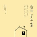 고양이눈 이미지