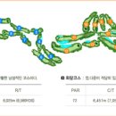 경주신라컨트리클럽골프연습장 이미지
