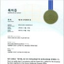 닥터코르셋 이미지