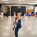 사계절푸른솔 태권도 이미지