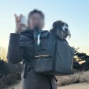 나주축협동물병원 | 뚜벅이 견주 소~중형견 6kg 강아지 이동가방 추천템공유 인사이드독 백팩, 리토가토 앞가방
