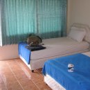 하이라이프 이미지