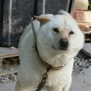 천보산농장 이미지