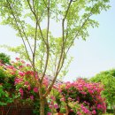 여울목수변공원 이미지