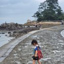 26470-01-21-339 | 장흥 아이랑 가볼만한곳 소등섬 방문꿀팁 물때표 보는법