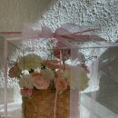 오르브와 이미지