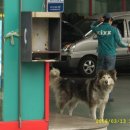 이리주유소 이미지