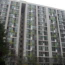 분당-219 이미지