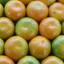 하림농장 이미지