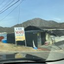 원동낚시터 | 부산 근교 딸기체험 - 원동 산들농원 딸기체험
