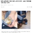 장애 남학생에 &#34;꽁초 넣은 소변 마셔라&#34; 시킨 울산 여중생들 이미지