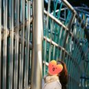 챔버(꽃의 내부) 이미지