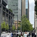 광장빌딩 | 도쿄여행7 : 도쿄역 돈카츠 스즈키, 마루노우치 광장, 신마루노우치 빌딩, 킷테, 공항버스