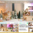 광주캐터리 이미지