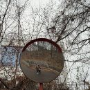 수락산 유원지(석림사 입구) | 서울 수락산 석림사 주차 코스 등산 후기(소요시간, 주차, 정보, 맛집)