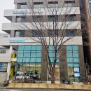 코웨이 갤러리 방문기, 서울리빙디자인페어 2026 비렉스 매트리스 신제품 기대 중!