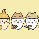 서초대로58길 36 이미지