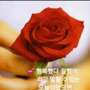 오늘도화이팅 Daum카페
