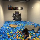 히어로뽑기방 이미지