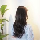 철수파마