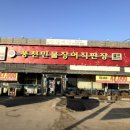 미락장어 이미지