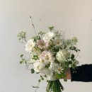 스튜디오아눅