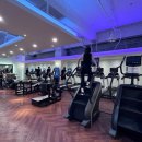 고위드 피트니스 이미지