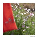 송학동-02 이미지