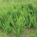 조한국한의원 이미지