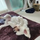 행복한 집밥 이미지