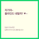 슬랫 이미지