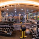 웰리스 휘트니스 이미지