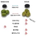 고고에프앤비
