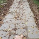 오감만족 이미지